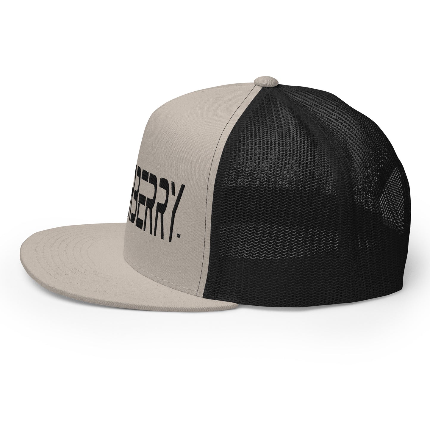 AB Trucker Cap